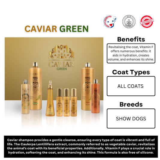 Caviar Green RING LINE SHAMPOO