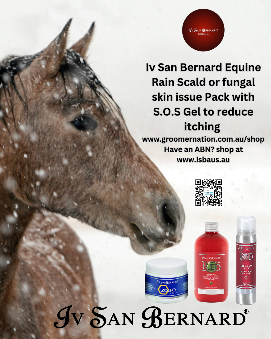 Iv San Bernard Equine Rain Scald or fungal skin issue Pack with S.O.S Gel image 0